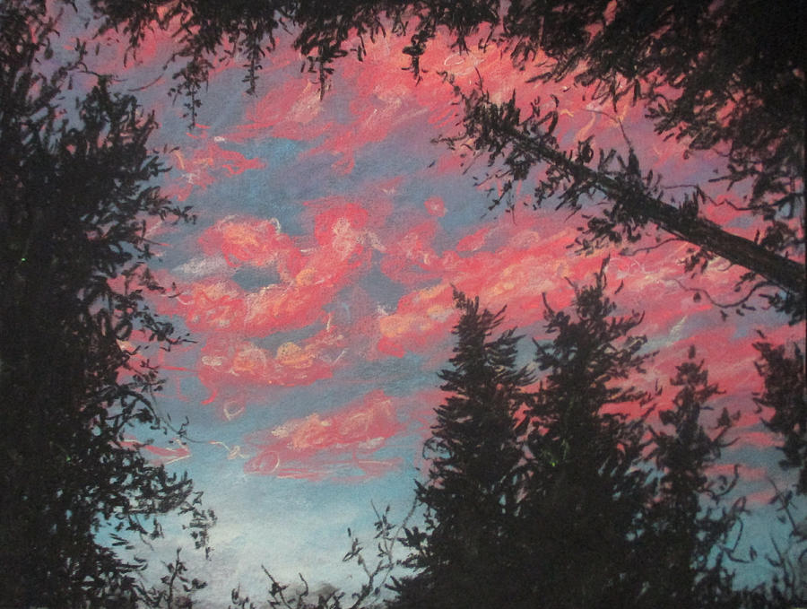 Skys Passion Painting by Jen Shearer