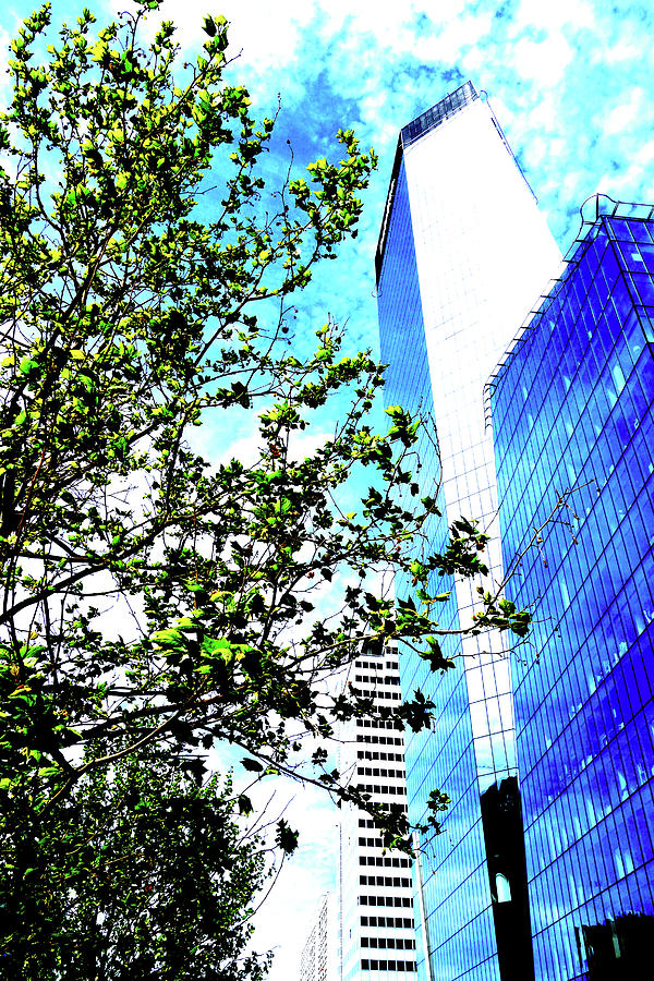 Skyscraper And Tree In Warsaw, Poland 5 Photograph by John Siest