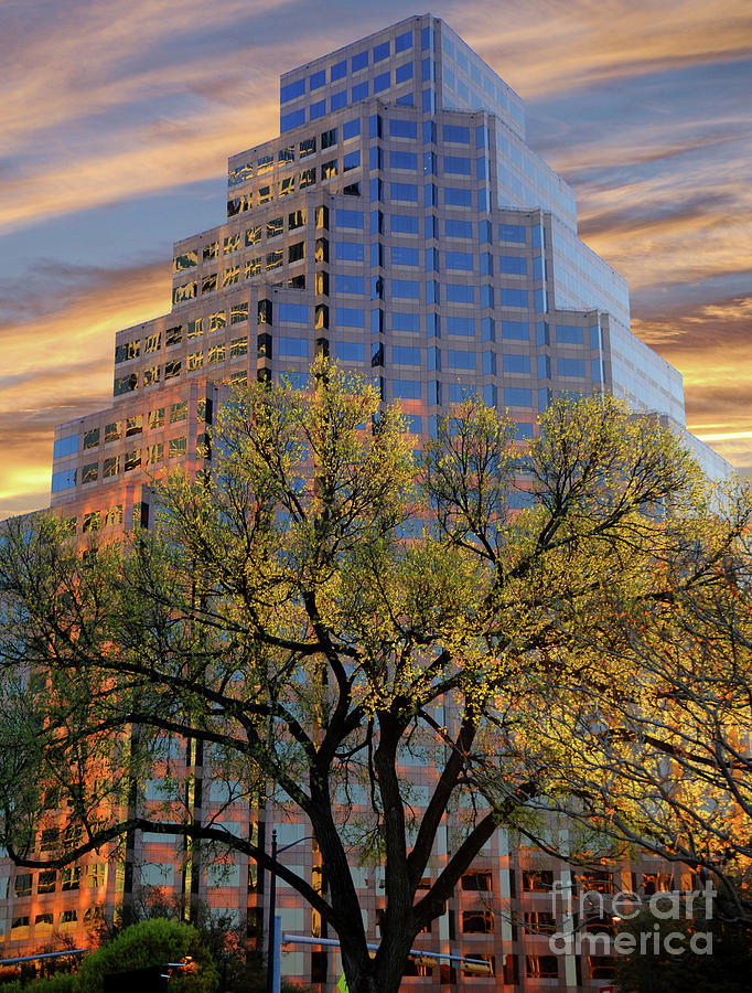 Skyscraper on Congress in Austin Texas glowing with color in the early sunrise.   Photograph by Gunther Allen