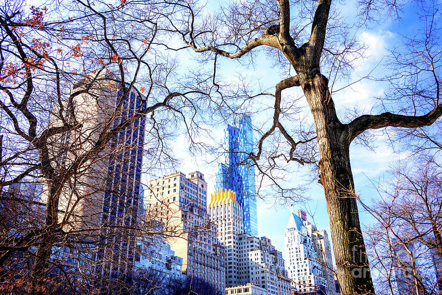 Skyscraper View from Central Park New York City Photograph by John Rizzuto