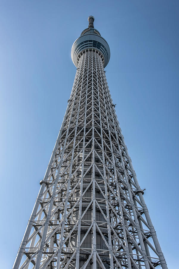 Skytree Tower Photograph
