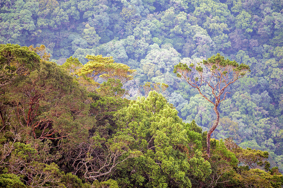 Slanted Photograph by Zell Albusairi - Fine Art America