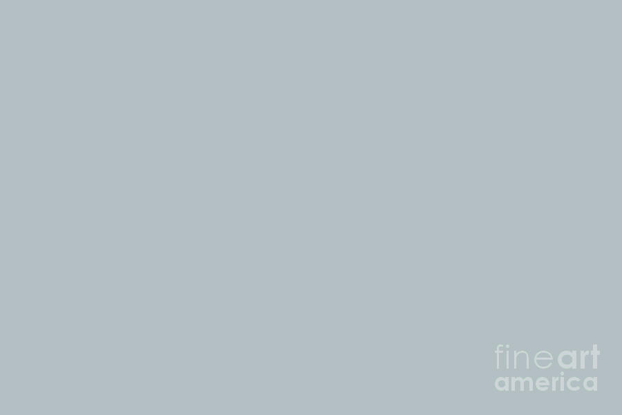 Slate Pale Blue Gray Solid Color Inspired by Valspar Grey Brook 5001-1B by  PIPA Fine Art - Simply Solid