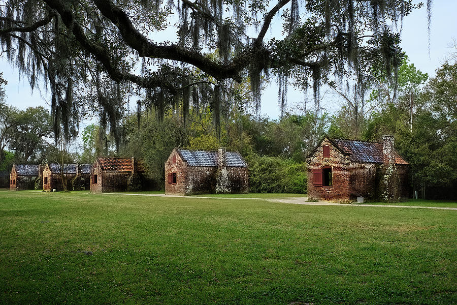 Slave cabins at Boone Plantation Photograph by Jon Glaser