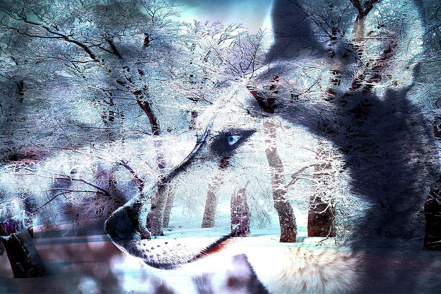 Tree Photograph - Sled Dog Dreams by Susan Maxwell Schmidt
