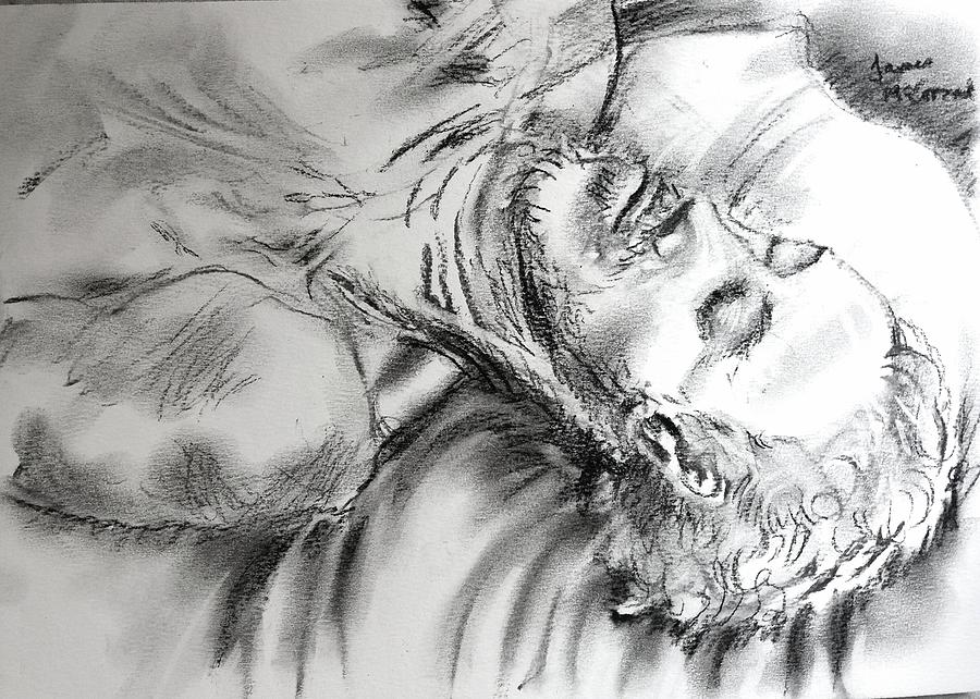 Sleeper Drawing by James McCormack