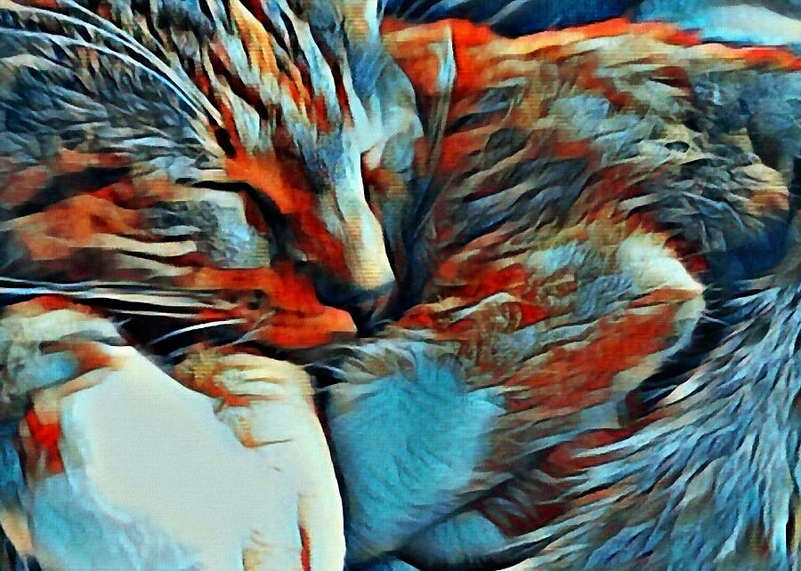 Sleeping cat Digital Art by Bruce Rolff
