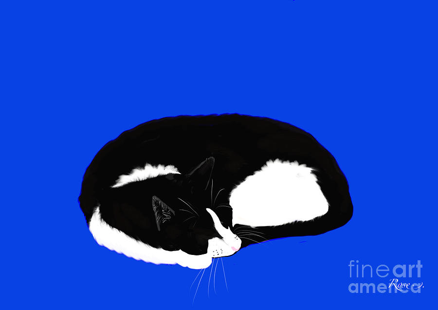 Sleeping cat Digital Art by Elaine Hayward