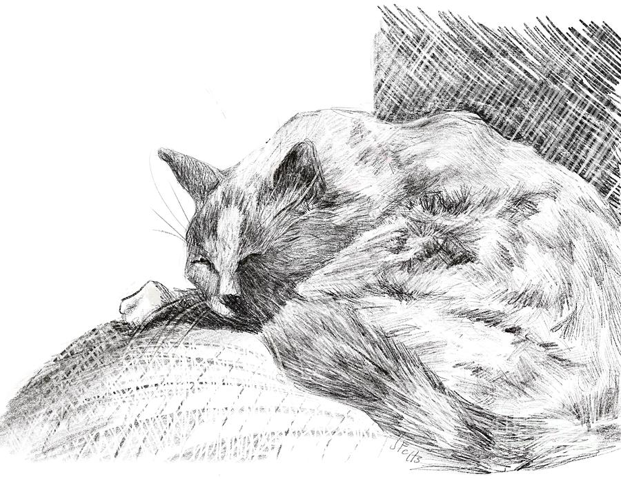 2,100+ Sleeping Cat Sketch Stock Illustrations, Royalty-Free Vector  Graphics & Clip Art - iStock