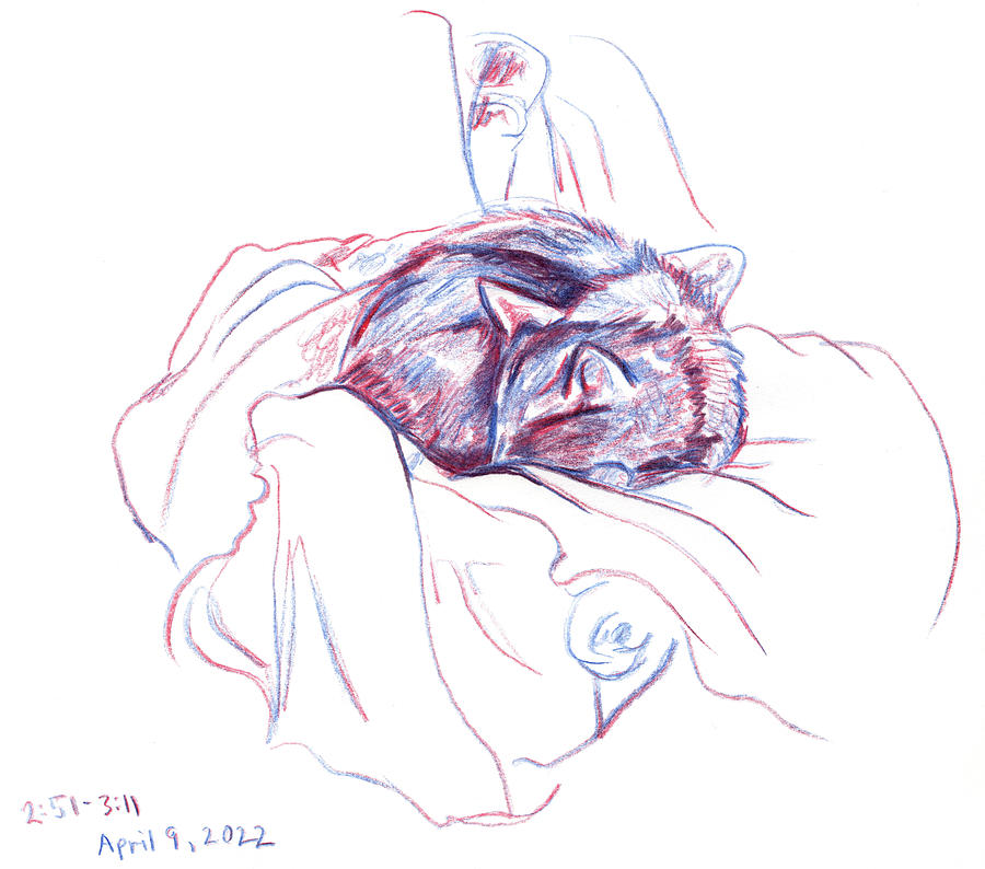 Sleeping cat sketch Drawing by Katherine Nutt