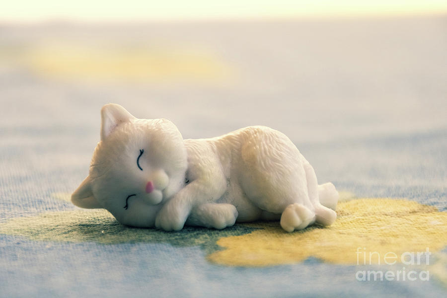 Sleeping Cat Toy Close Up Background Copy Space With Film Grain  Photograph by Luca Lorenzelli