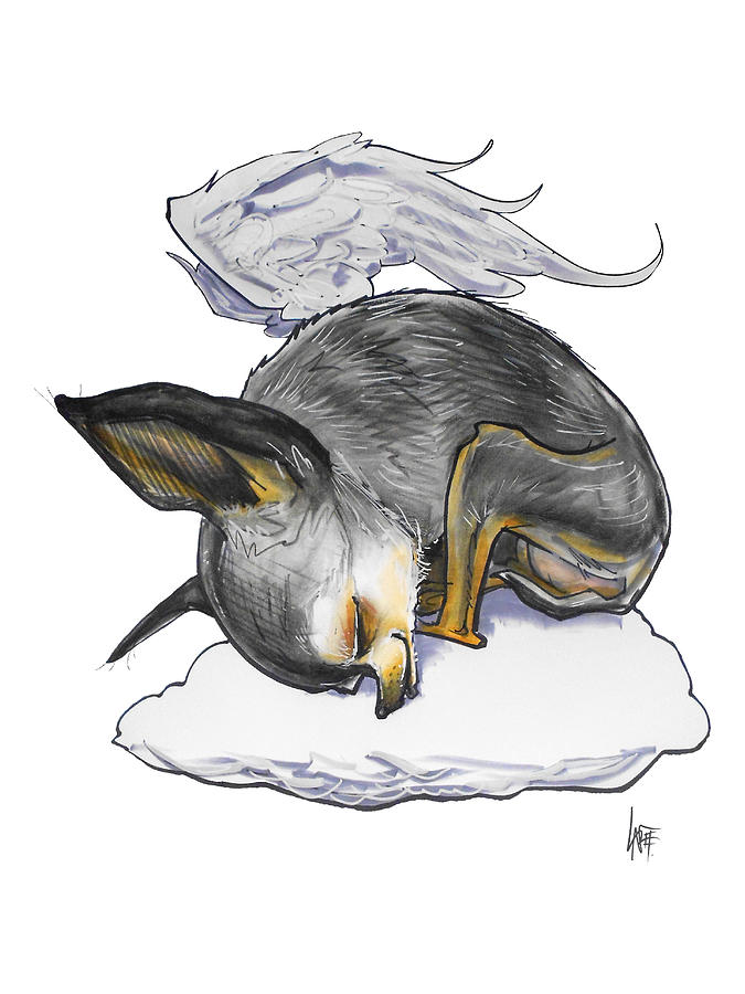 Sleeping Chihuahua Angel Drawing by John LaFree