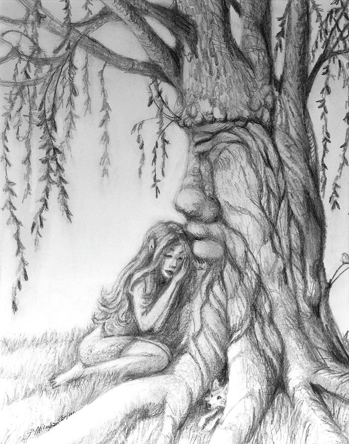 Sleeping Fairy With Her Willow Tree Drawing