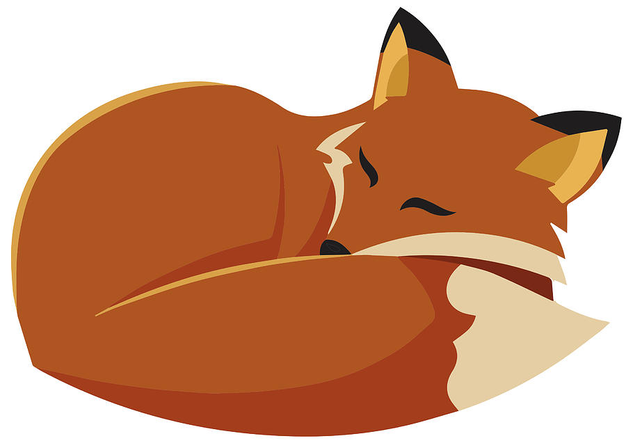 Sleeping Fox Digital Art by Caroline Elgin