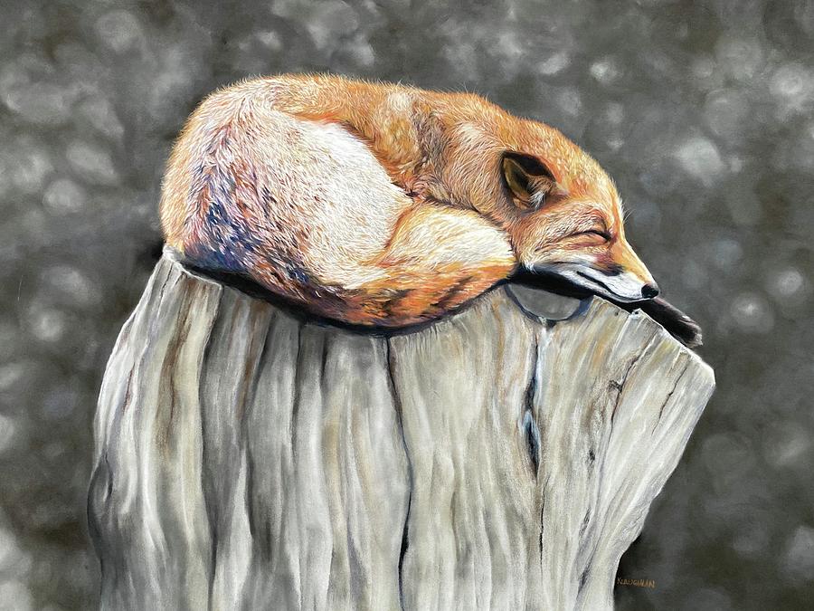 Sleeping fox Pastel by Kathy Laughlin