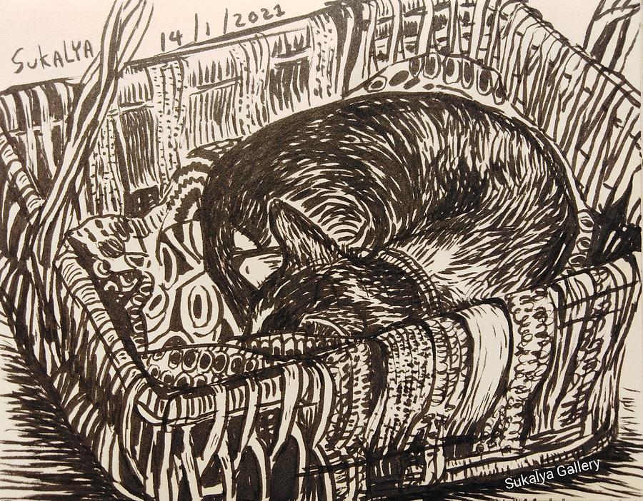 Sleeping In A Basket Drawing by Sukalya Chearanantana