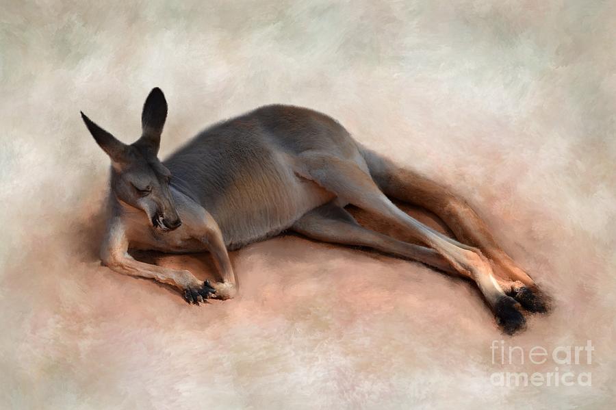 Sleeping Kangaroo Mixed Media by Lucie Dumas