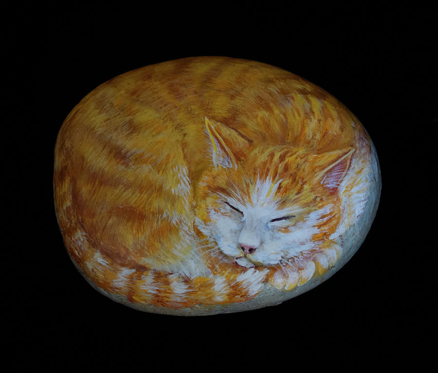 Sleeping Kitty Painting by Nancy Lauby