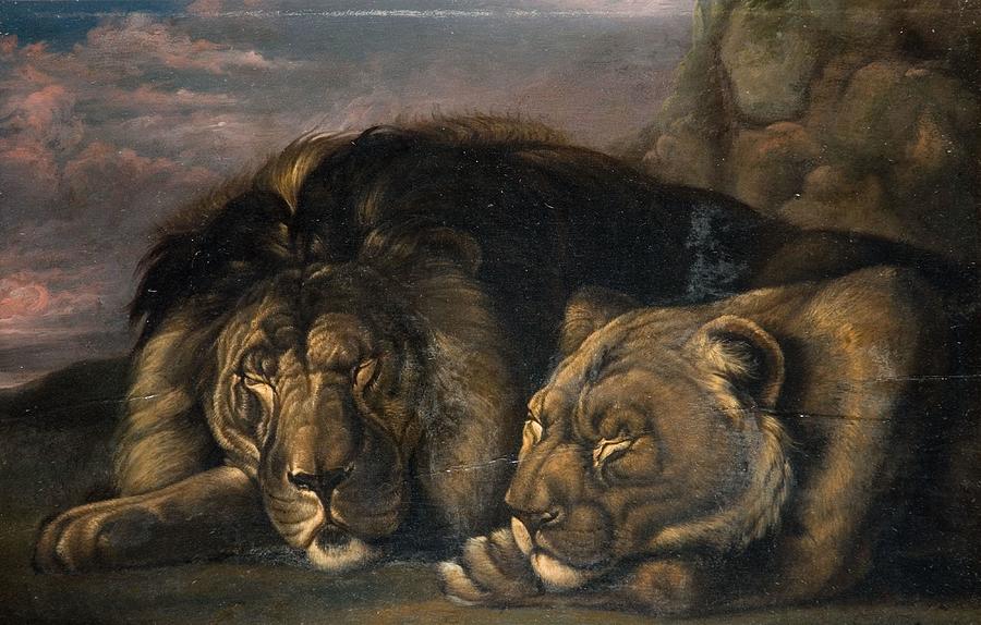 sleeping lion painting