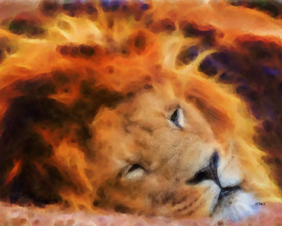 Sleeping Lion Digital Art by Studio B Prints
