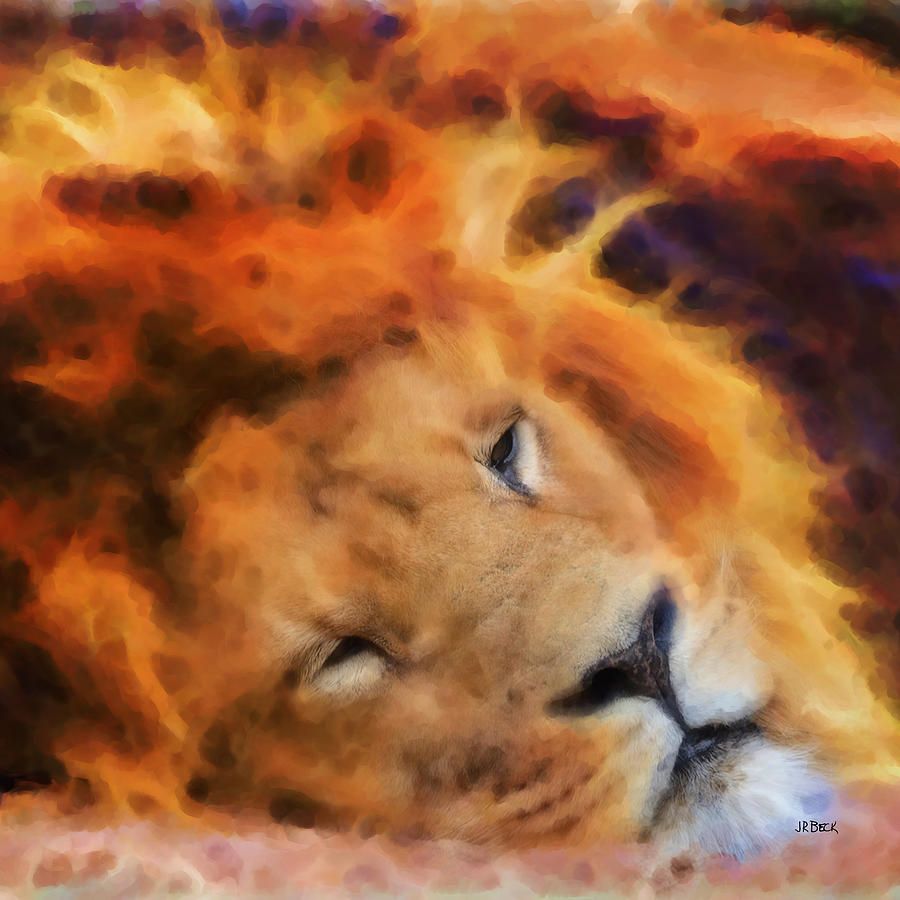 Sleeping Lion - Square Version Digital Art by Studio B Prints