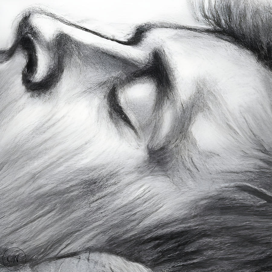 Sleeping Man Digital Art by Cindys Creative Corner