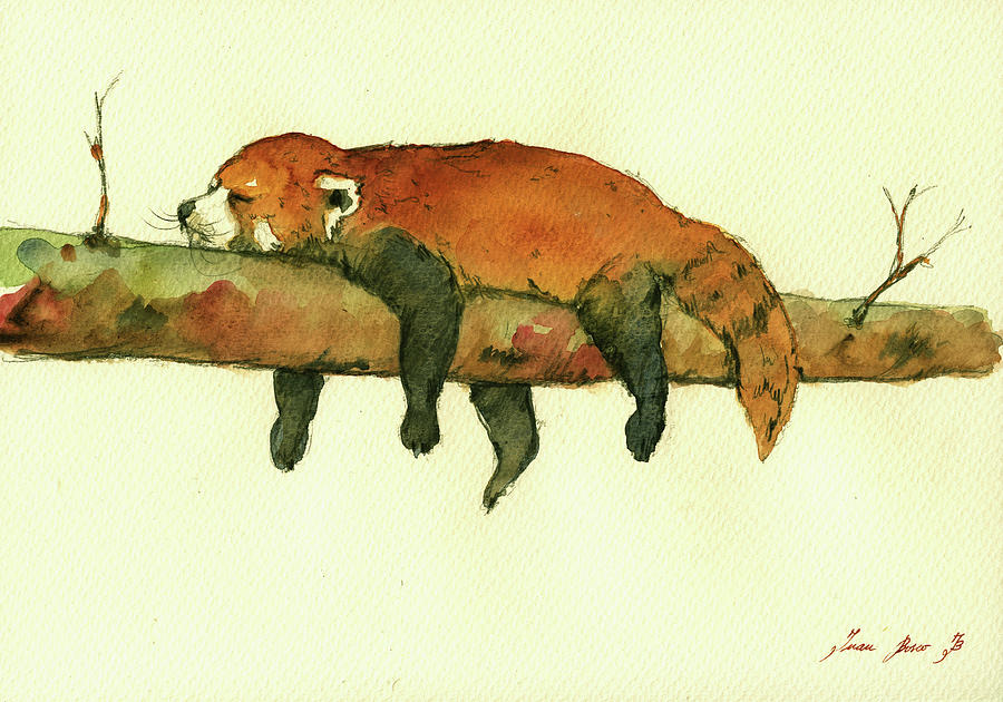 Cute Red Panda Painting - Sleeping red panda in a tree by Juan Bosco