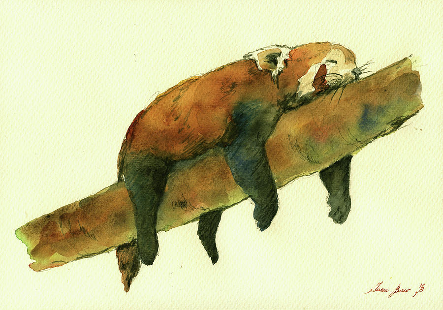 Cute Red Panda Painting - Sleeping red panda by Juan Bosco