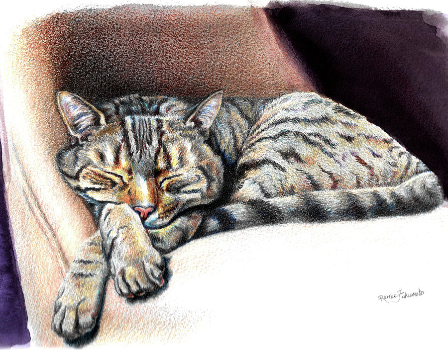 Sleeping Tabby Cat Painting by Renee Forth-Fukumoto