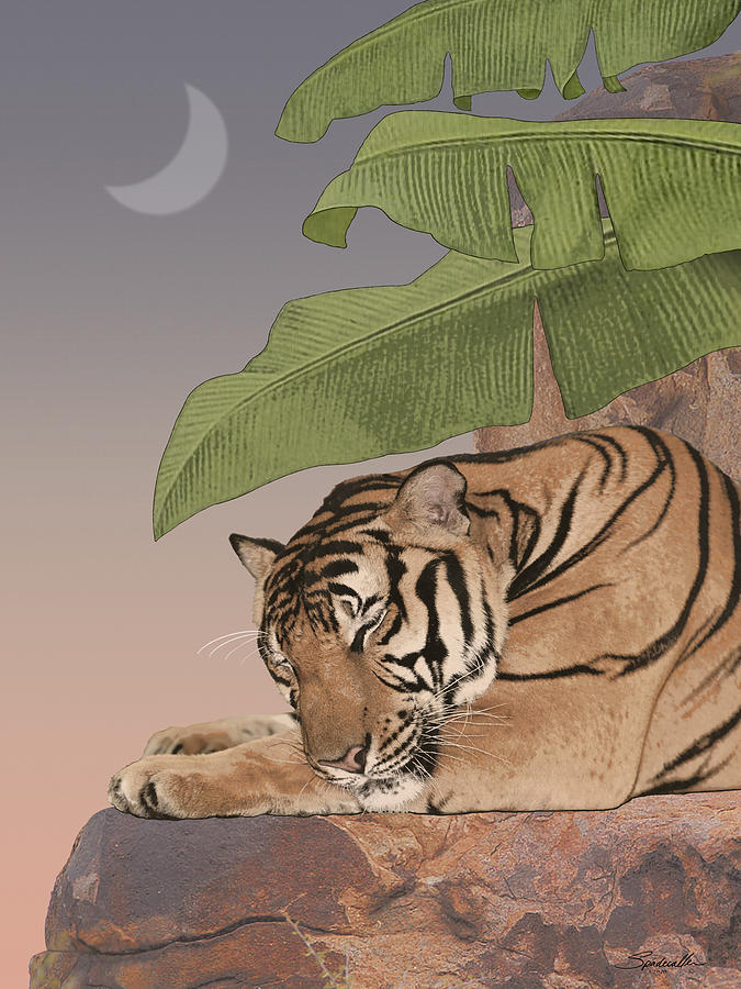 Sleeping Tiger Digital Art by M Spadecaller