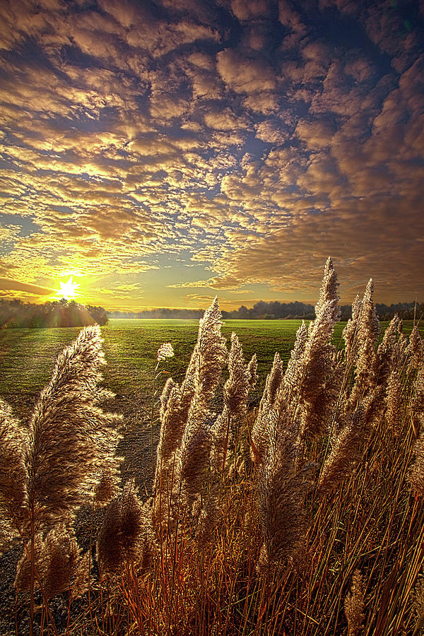 Sleepless in Wisconsin Photograph by Phil Koch