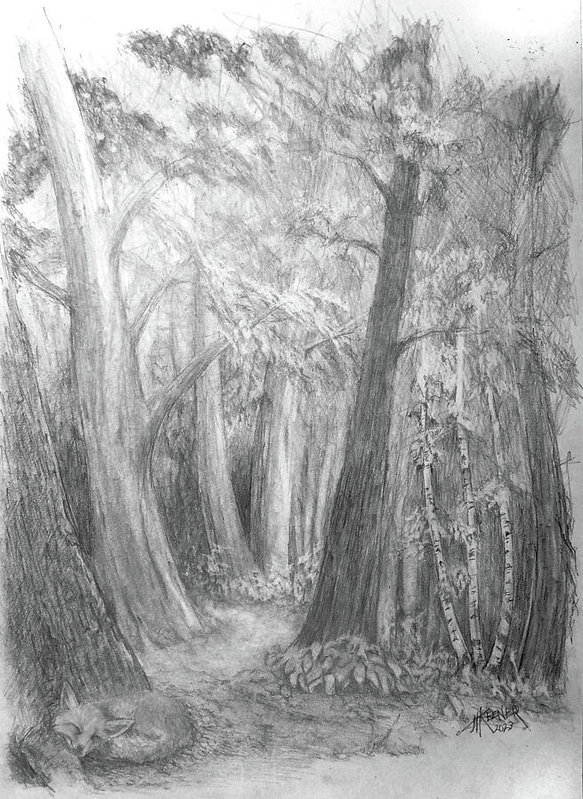 Sleepy Fox Drawing by Joel Keener Sleepy Fox Drawing by Joel Keener
