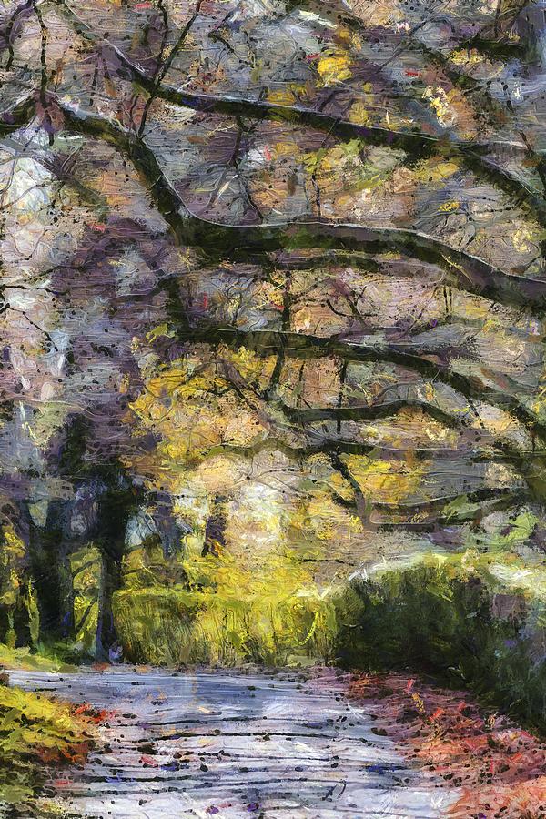 Sleepy Hollow Cemetery Monet  Photograph by David Pyatt