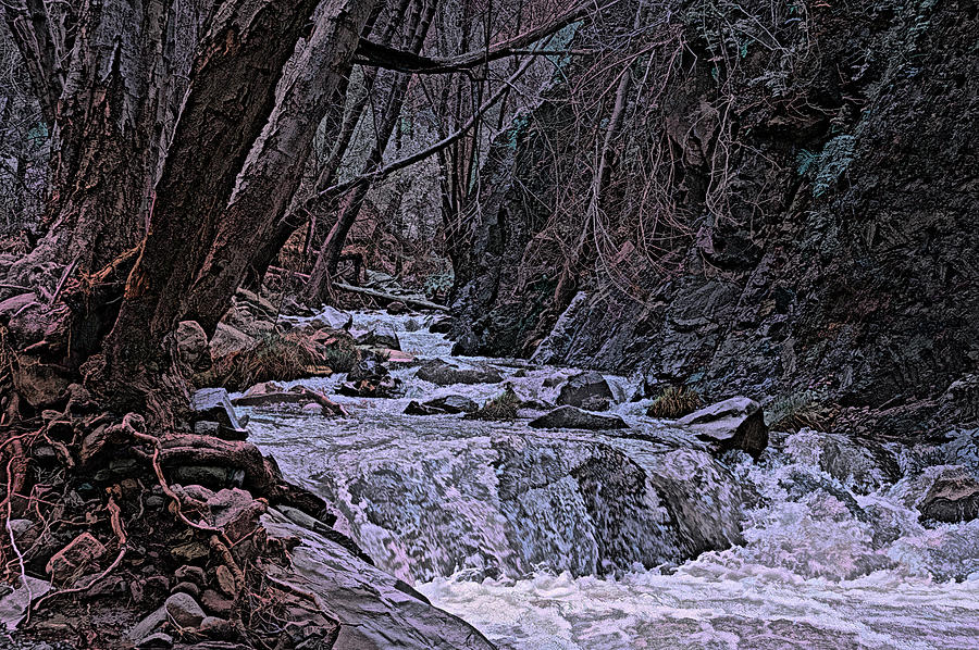 Sleepy Hollow Creek Photograph by Lindsay Thomson