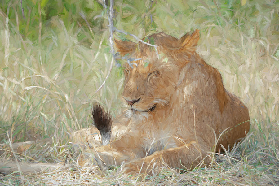 Sleepy Lioness Art Print Digital Art by Pravine Chester