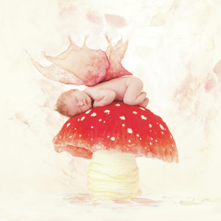 Fairy Photograph - Sleepy Toadstool Fairy by Anne Geddes