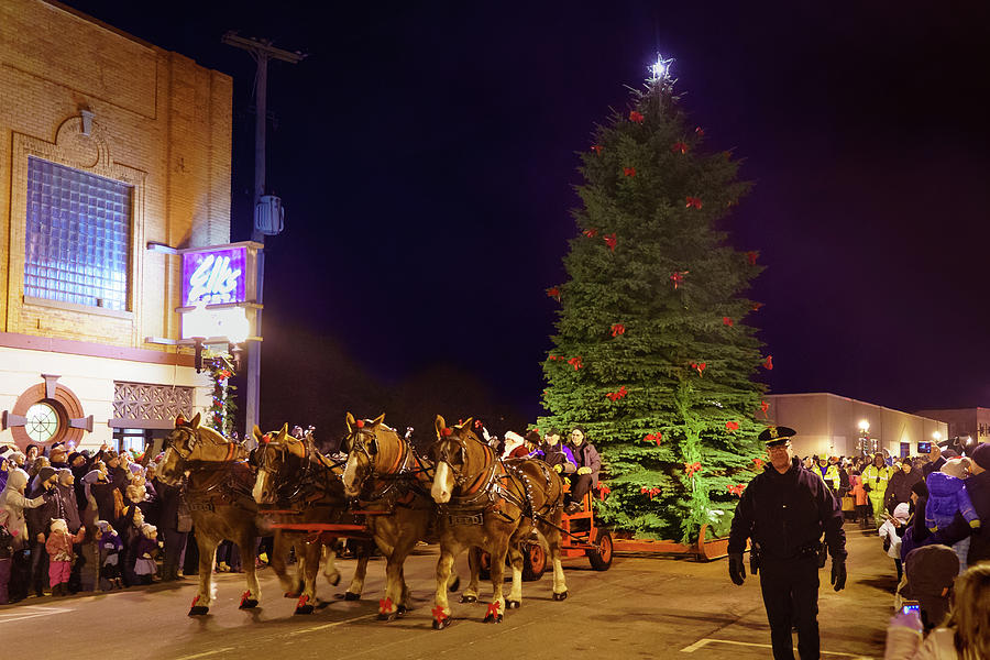 Sleigh Bell Parade, Christmas Tree, Manistee Michigan Photograph by