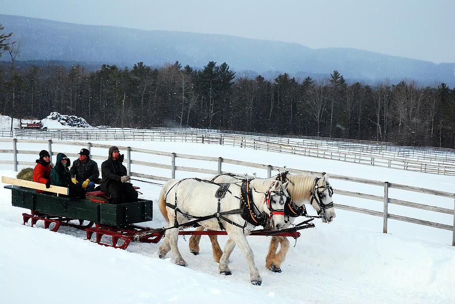 Sleigh ride in the valley Photograph by James Kirkikis