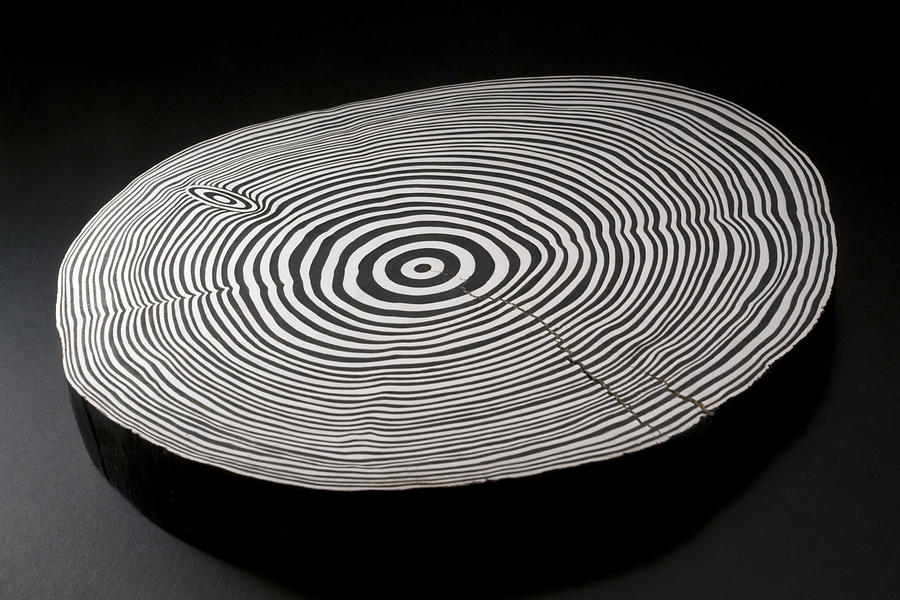 Sliced Wood With Black And White Annual Rings Photograph by Prill