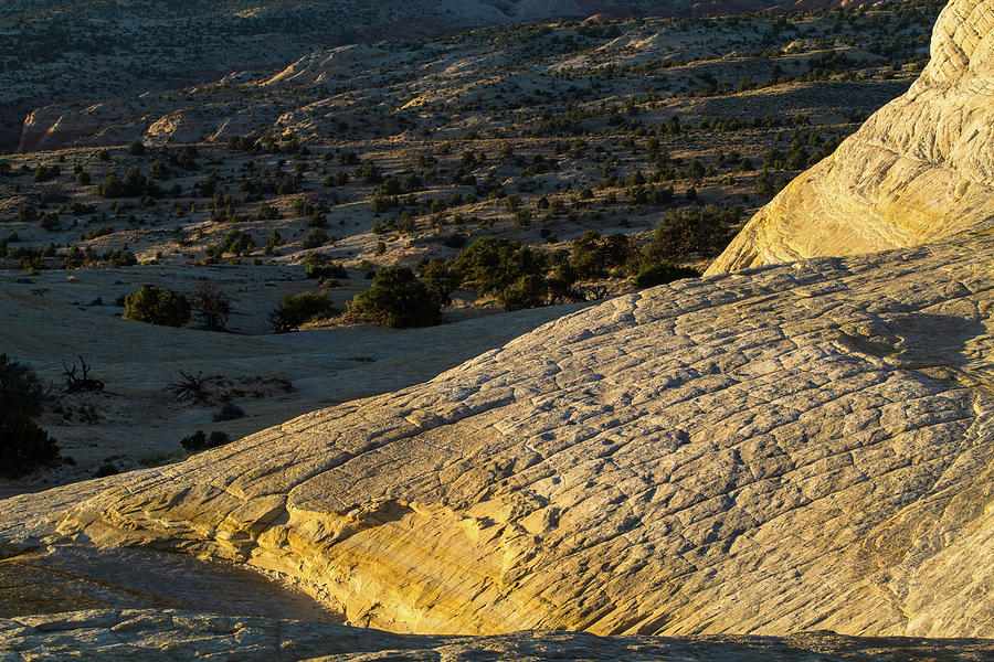 Slickrock 7 Photograph By Steve Petrides Fine Art America