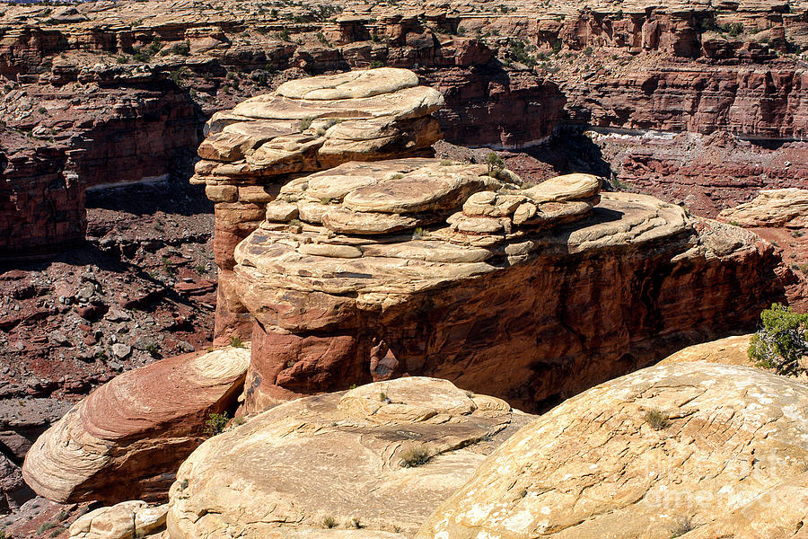 Canyonlands National Park Photograph - Slickrock Canyon Formations by Bob Phillips