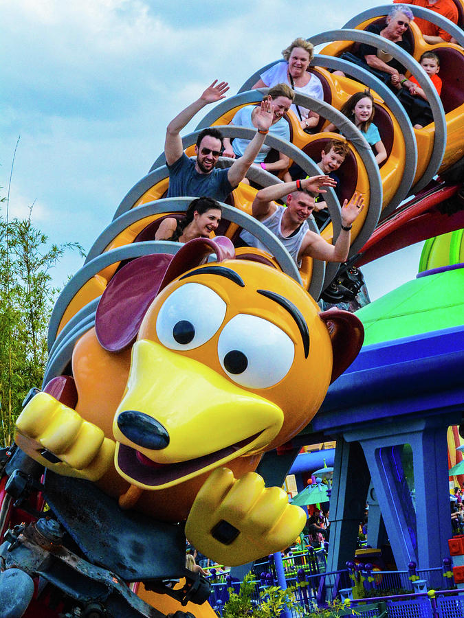 Slinky Dog Photograph by Jack Bannon - Fine Art America