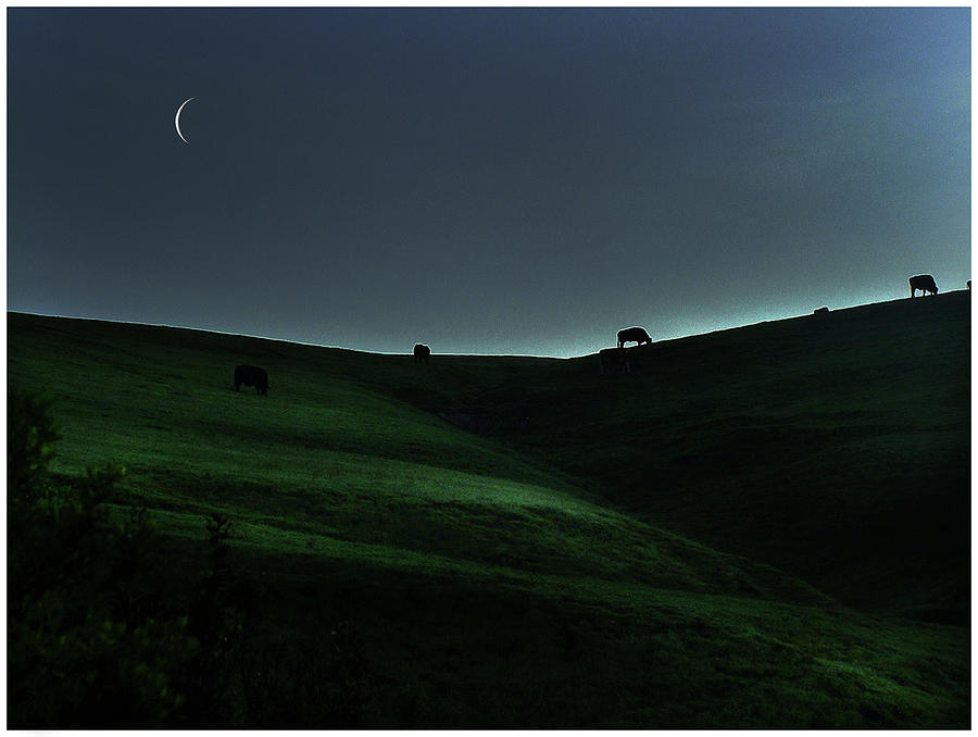 Sliver of Light on the Pasture Photograph by Wayne King