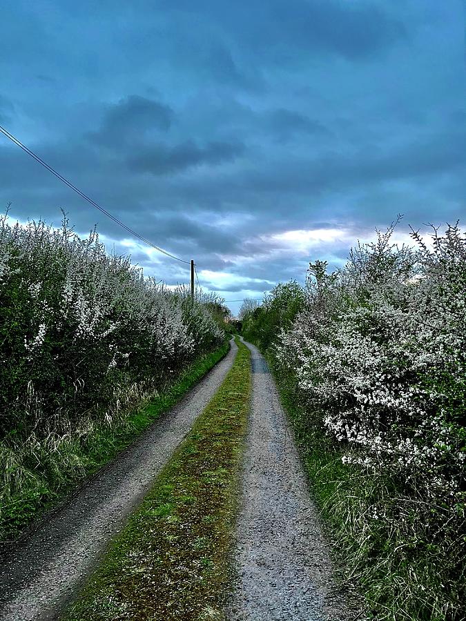 Sloe Road Photograph by Six Months Of Walking