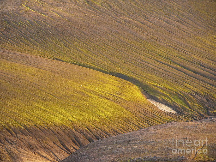 Slopes Of The Icelandic Highlands Photograph