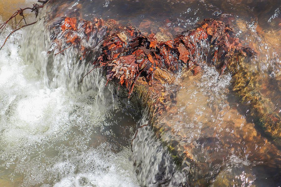 Sloppy Floyd Creek Waterfall Photograph by Ed Williams