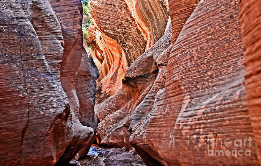 Inspirational Photograph - Slot Canyon Close Up by Robert Bales