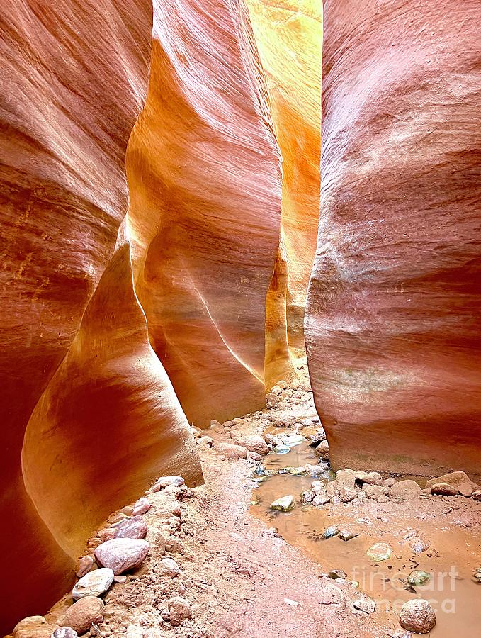 Slot Canyon Photograph by Sean Griffin