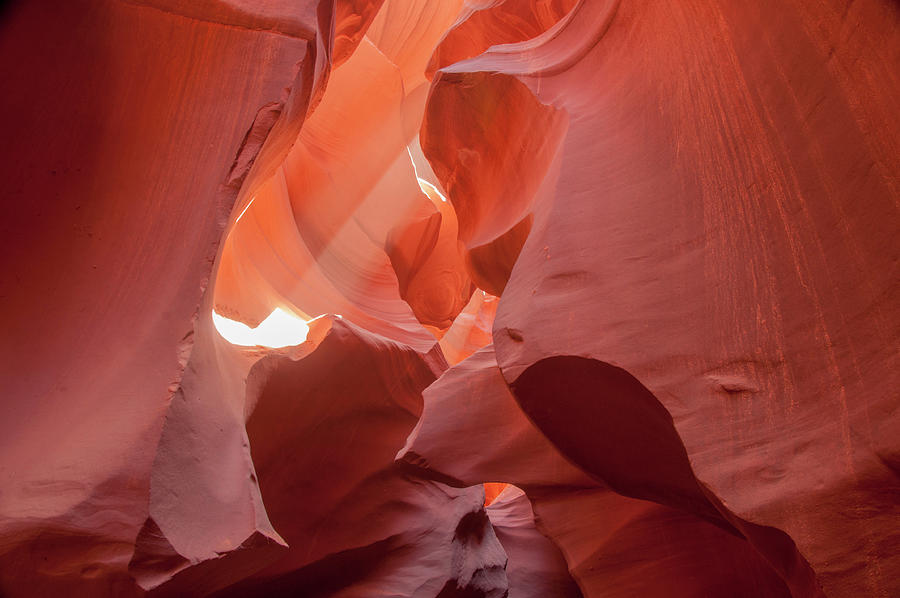 Slot Canyon Sunlight Photograph by Rob Hemphill