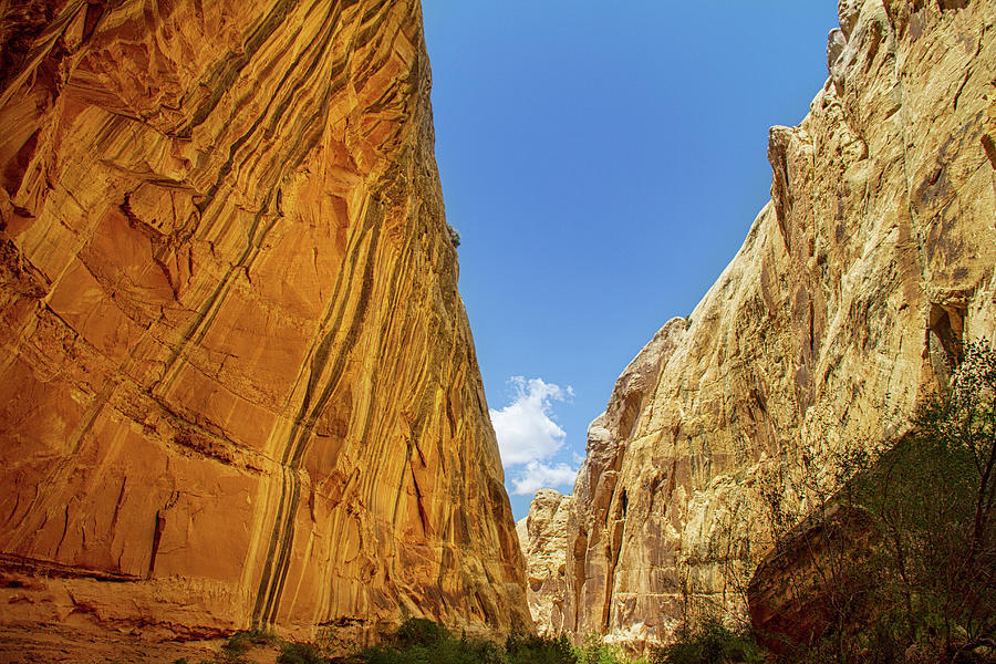 Slot canyons of Utah Photograph by Kunal Mehra